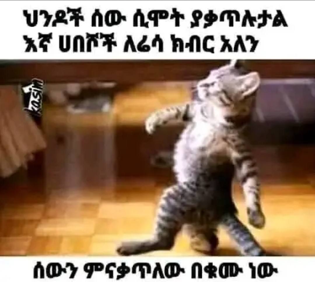 ህንዶች ሰው ሲሞት ያቃጥሉቻል 3 እኛ ሀበሾች ለይሳ ክብርን አለን .. በውን ምናቃጥለው በቂሙነው VIL AD AP COMA 3 ane UnIPE aed ac? ANY __ AOy PLODAT eo
